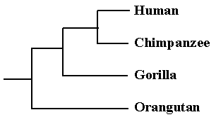 Our family tree